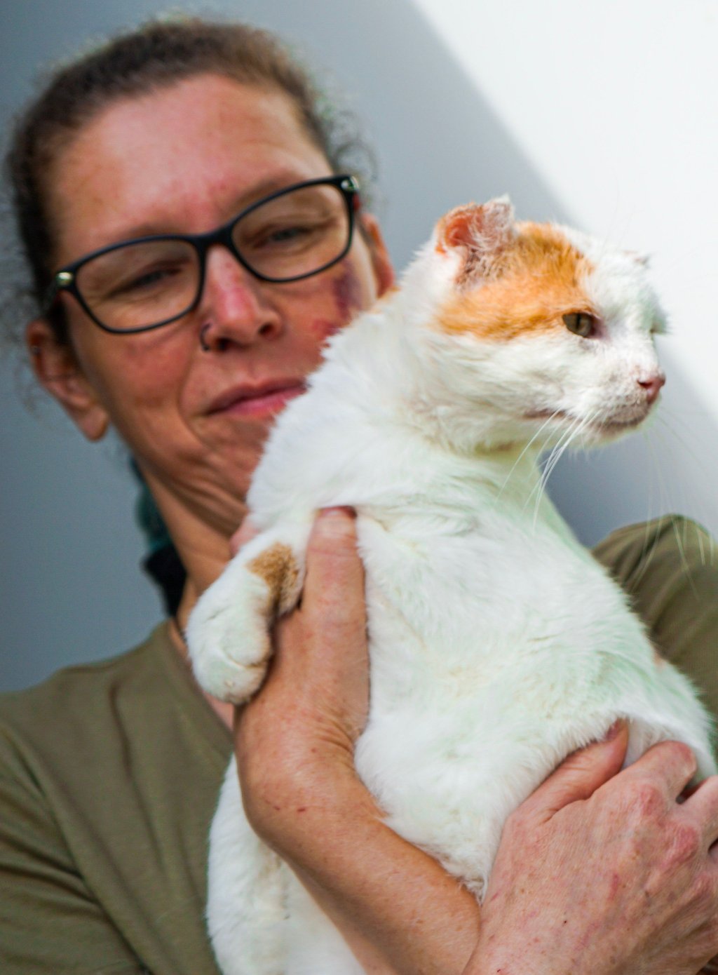 Der Kater aus dem Zerbster Tierheim wartet auf seine Kastration. Danach sucht das menschenbezogene Kerlchen ein neues Zuhause – auch wenn er Pamela Strahler sehr fehlen wird.
