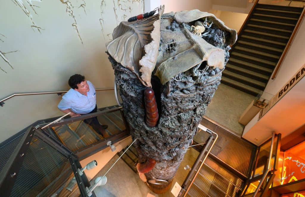 Ein Mitarbeiter im Senckenberg Naturkundemuseum Görlitz betrachtet im Treppenhaus eine ausgestellte Bodensäule.