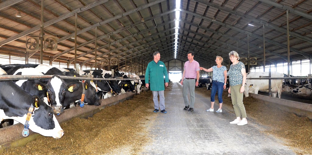 Die Landwirte Frank Pieper (von links), Christian Schmidt, Annegret Jacobs, vom Kreis-Bauernverband und Margret Pieper im modernen Milchviehstall der Agrarerzeugergemeinschaft Pretzier.