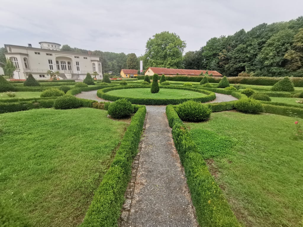 Der Buchsbaumgarten in Kalbe ist der größte der Altmark. Verzeinzelt sind auch in diesem Pilzschäden und sogar Gespinste zu erkennen.
