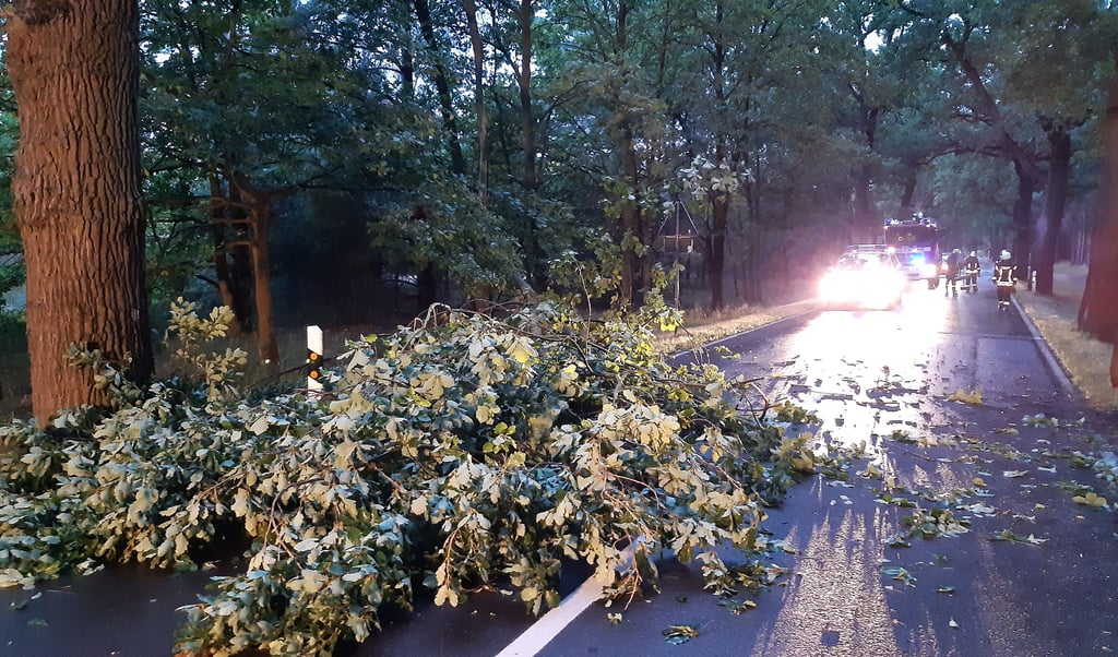 Die Genthiner Feuerwehr musste am Sonntag auf der Straße nach Karow einen großen Ast beräumen.