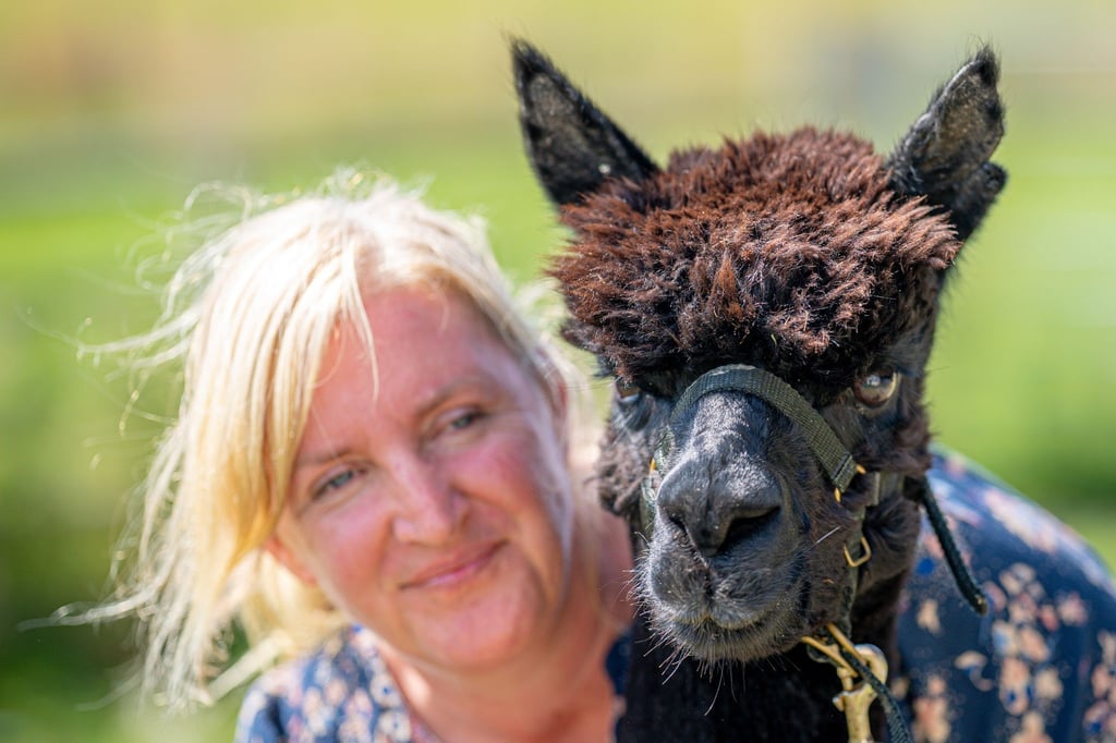 Besitzerin Helen Macdonald und Alpaka Geronimo auf der Shepherds Close Farm.