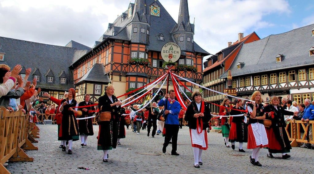 Bilder vom letzten Harzfest, das 2009 in Wernigerode stattfand.