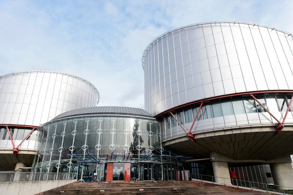 Der Europäische Gerichtshof für Menschenrechte (EGMR).