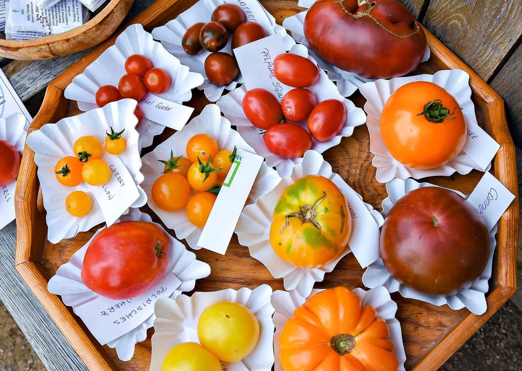 Am 11. September dreht sich wieder alles um die Tomate.