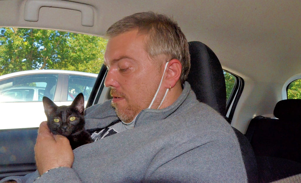 Christian Dissars rettet eine kleine streunende Katze von der Straße, um sie erstmal zu sich zu bringen.