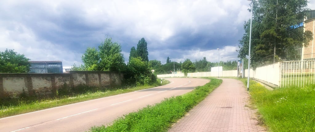 Ein Grünstreifen trennt in der Naumburger Straße zwischen Schaedestraße und Kreisel Grana Fußweg und Fahrbahn. Bäume gibt es hier nicht.
