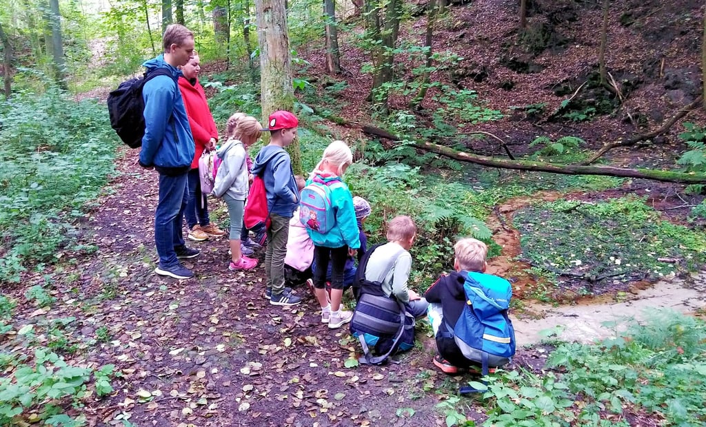 Mädchen und Jungen des Börgitzer Hortes, darunter auch einige der Erstklässler, waren im Quellgebiet der Uchte unterwegs. Dabei schauten sie sich die Vielzahl an Quellen an.