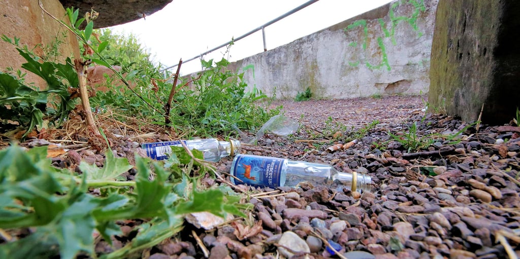 Ab dem kommenden Jahr will die Stadt bürgerliches Engagemt für mehr Sauberkeit fördern. Die Mitglieder des Bauausschusses unterstützen die Idee, Bürgern, die sich um die Sauberkeit in der Kommune regelmäßig kümmern, eine Aufwandsentschädigung zu zahlen.