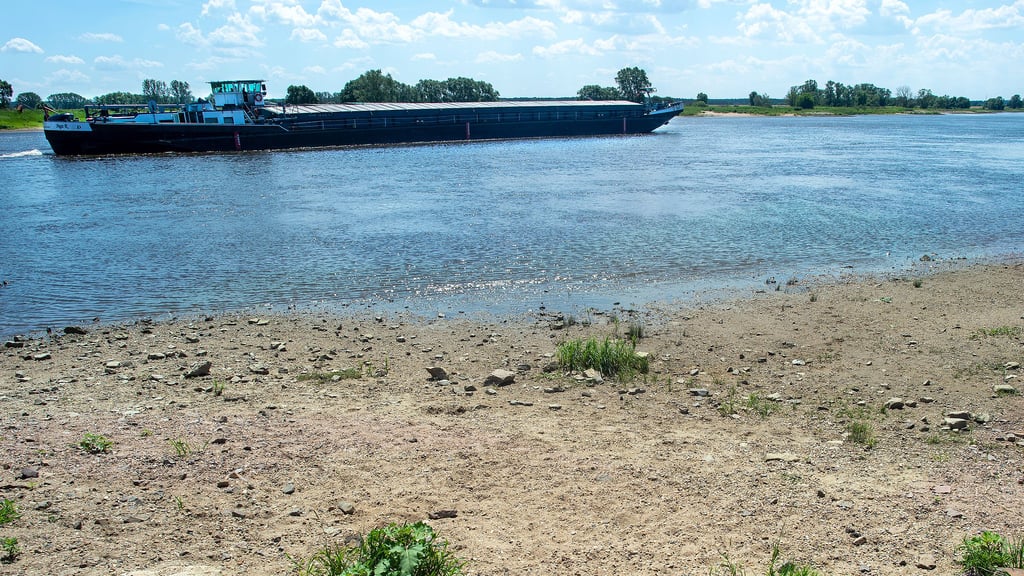 Größere Schiffe können nur noch an wenigen Tagen im Jahr auf der Elbe fahren.