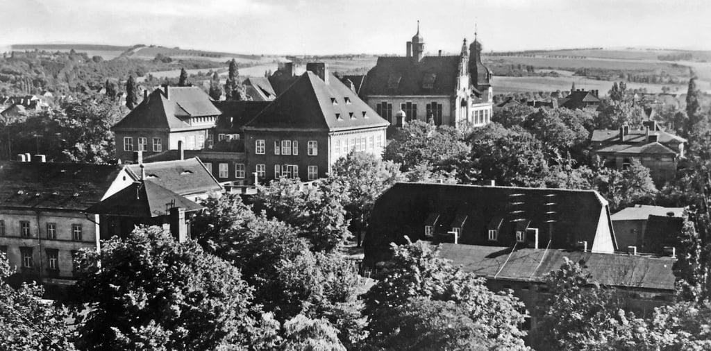 Auf dieser Postkarte geht der Blick zum heutigen Geschwister-Scholl-Gymnasium, damals die Erweiterte Oberschule selben Namens.