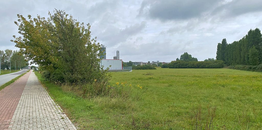 Östlich des Hohen Wegs in Stendal will eine Invetsor einen Solarpark bauen.