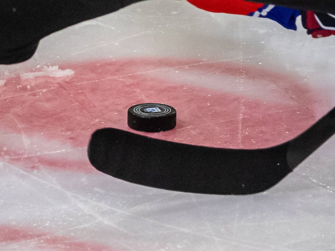 Die Saale Bulls beenden ihre Gruppe beim Nord-Ost-Pokal als Schlusslicht.