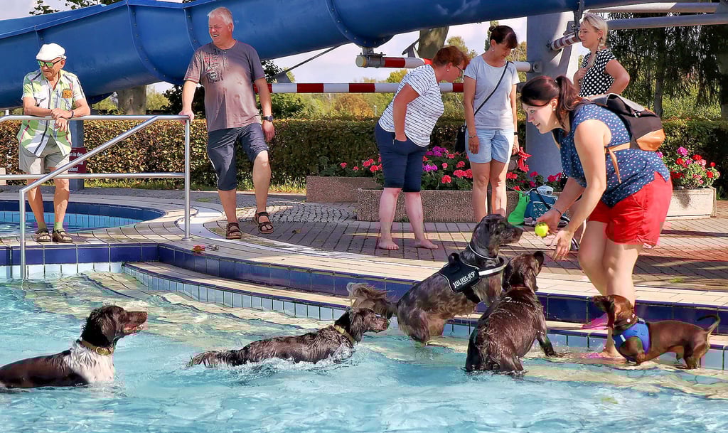 Hundebadetag im Freibad Hettstedt