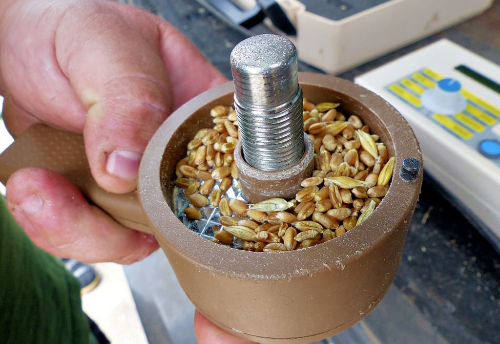 Damit Getreibe geerntet werden kann, muss viel Aufwand betrieben werden. Um Erträge zu erhalten, müssen Landwirte ihre Fläche mechanisch oder mit Pflanzenschutzmitteln bearbeiten.