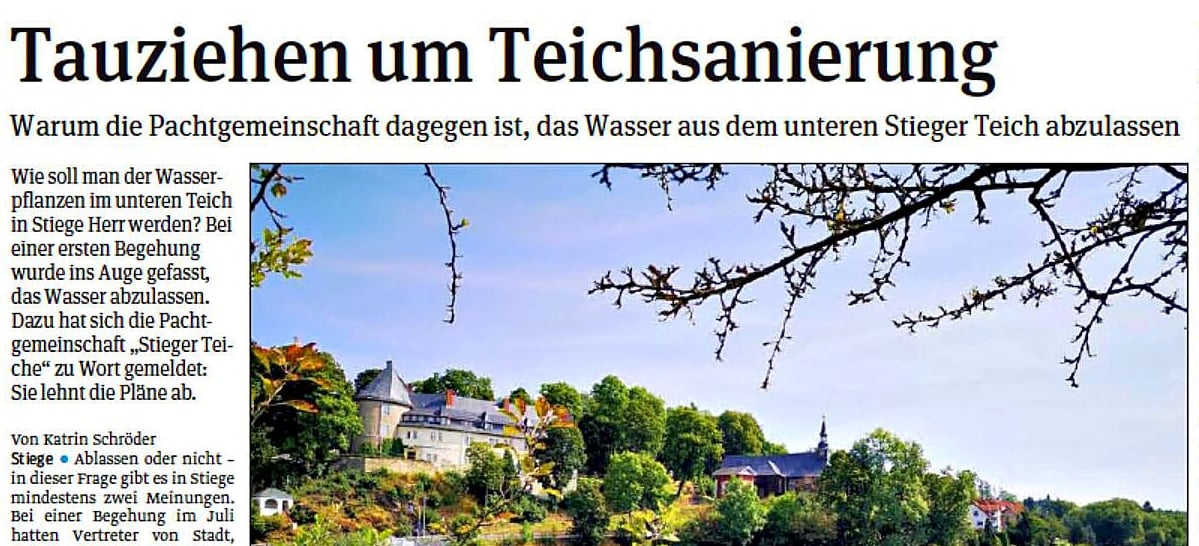 Eine Lösung ist am Stieger Teich noch nicht in Sicht