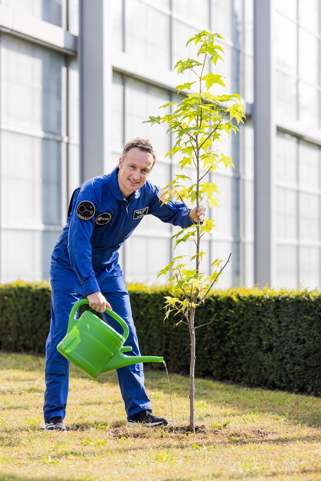 Matthias Maurer pflanzt in Köln einen Baum.
