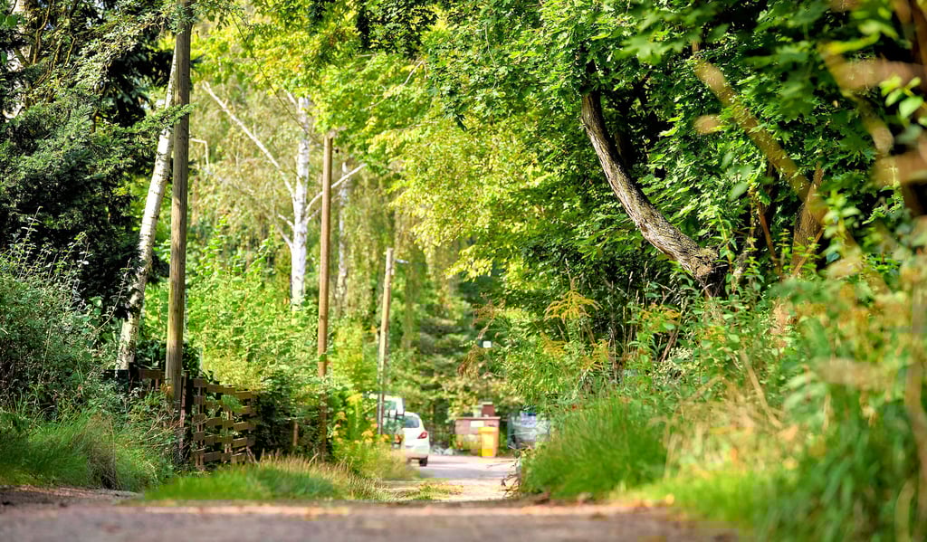 Blick in den Wildentenweg in Kröllwitz, der zu einem neuen Wohngebiet mit dutzenden Häusern ausgebaut werden könnte.
