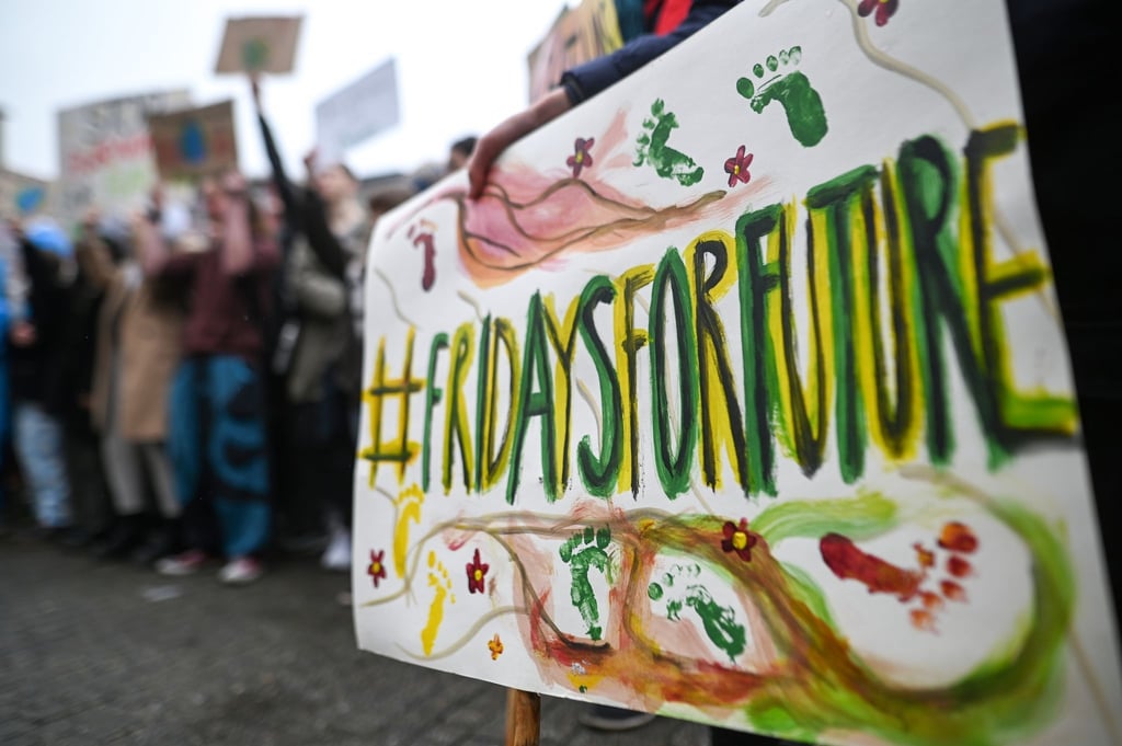 Schild bei einer "Fridaysforfuture"-Demo im Frühjahr 2019.