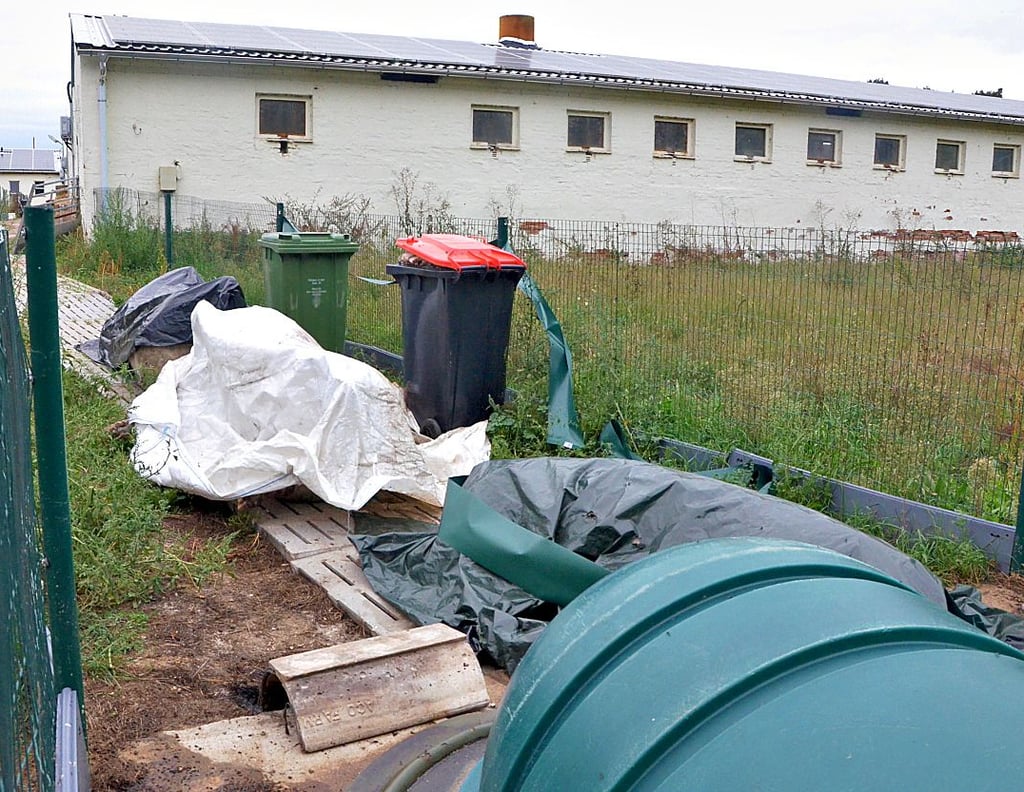 Die verendeten Sauen aus der Anlage in Sanne waren mit Planen abgedeckt, die Mülltonnen mit toten Ferkeln überfüllt.