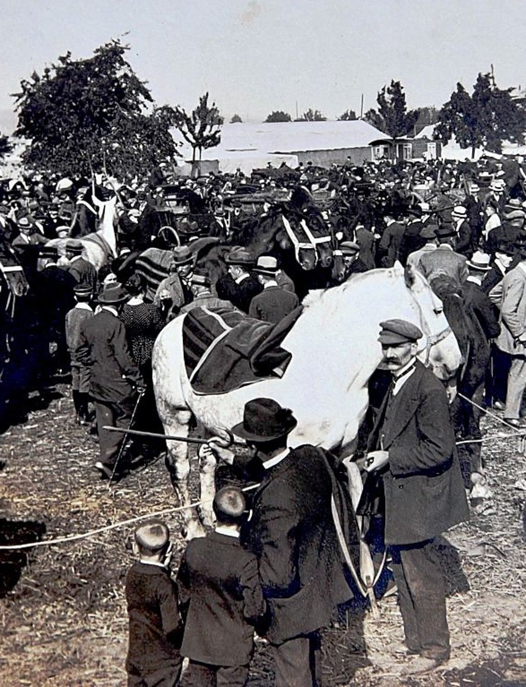 Pferdemarkt zur Wiese 1935