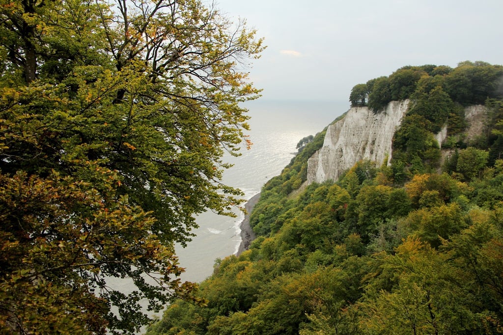 Die berühmten Kreidefelsen locken jedes Jahr viele Besucher in Rügens Nationalpark Jasmund - da will die Natur besonders geschützt werden.