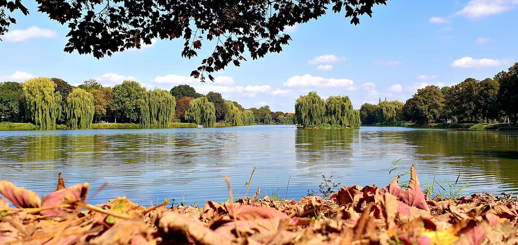 Am Stadtsee in Stendal wird es langsam herbstlich.