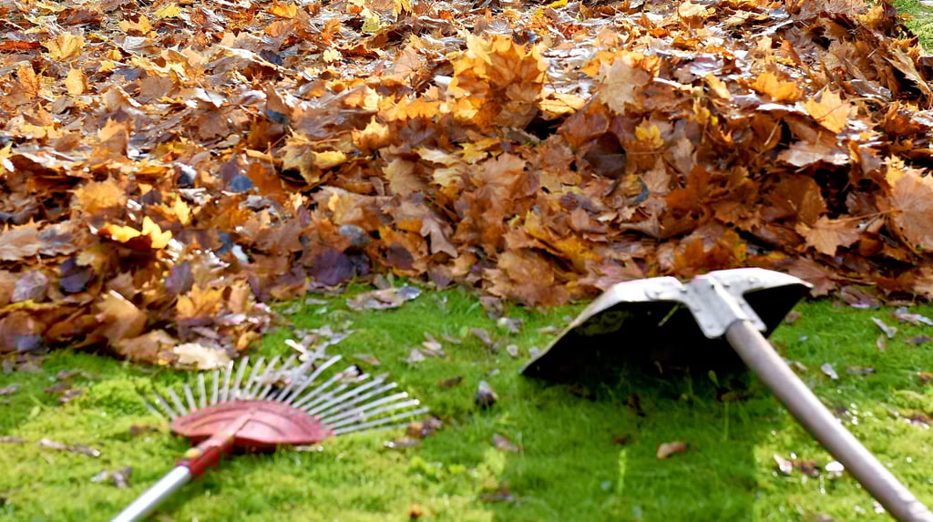 Der Herbst steht vor der Tür. Bald fällt wieder überall viel Laub an. Doch die Entsorgung ist nicht immer ganz einfach.