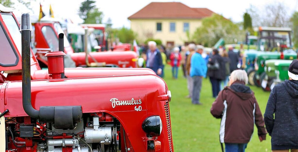 Viele Trecker gab es 2019 beim Hoffest im Bauernmuseum zu sehen.