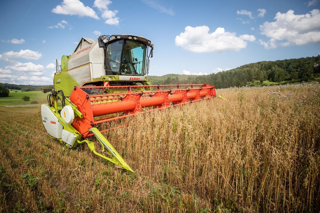 Ein Landwirt fährt bei der Getreideernte mit seinem Mähdrescher über ein Haferfeld.