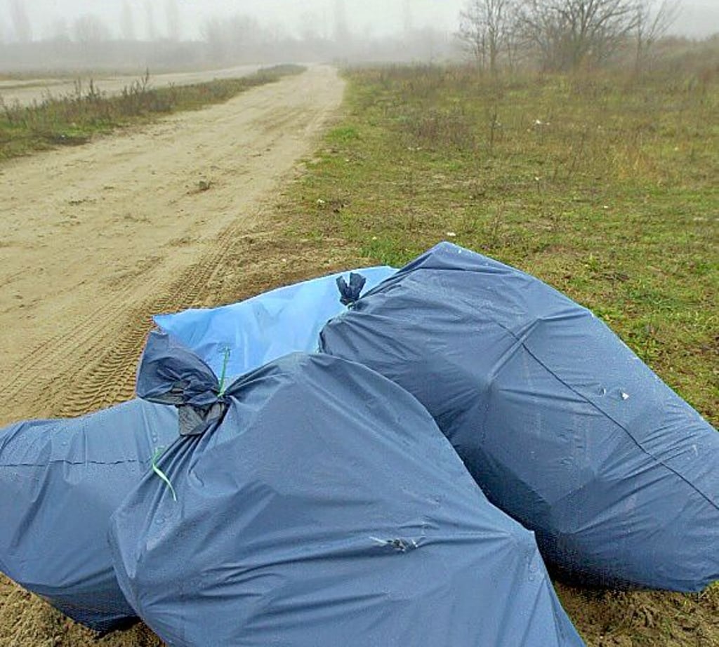 Zum World Clean Up Day am Sonnabend soll auch in Dessau-Roßlau Müll eingesammelt werden.