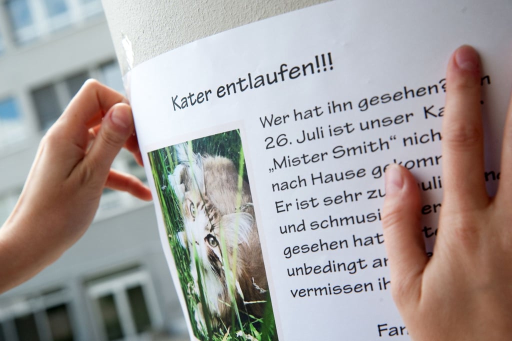 Mit Suchplakaten kann man auf vermisste Tiere in der Nachbarschaft aufmerksam machen.
