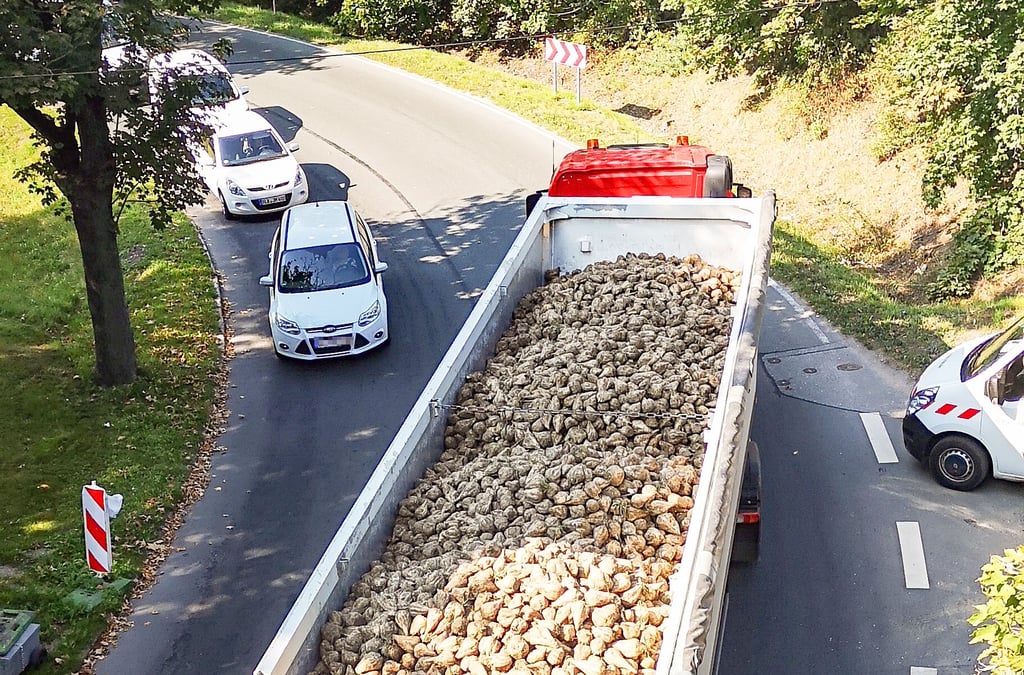 Ein Rübenlaster hat die Eisenbanbrücke bei Zangenberg durchfahren und rollt auf dem Weg zur Zuckerfabrik Richtung Leipziger Straße in Zeitz. Diese Strecke ist Teil der Umleitungsstrecke.