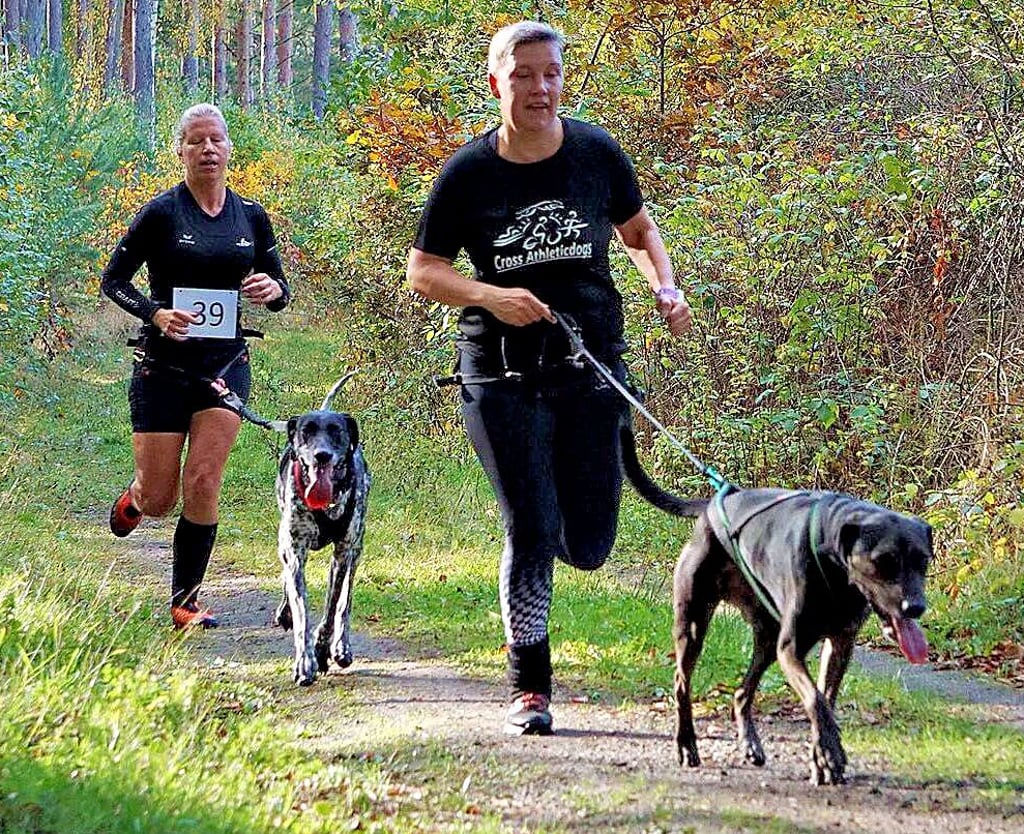?Jagt den Teufel? heißt es am 2. und 3. Oktober wieder für Canicrosser aus ganz Deutschland in Hüttenrode.