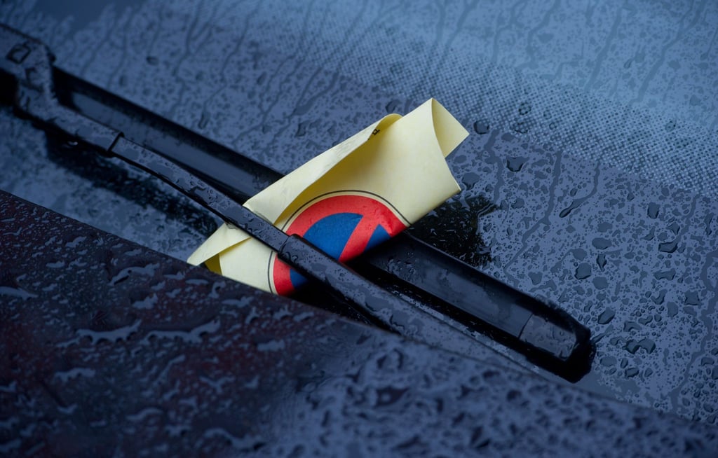 Macht dann zehn Euro bitte - mit fünf Metern Abstand des geparkten Autos zur Kreuzung wäre das nicht passiert.
