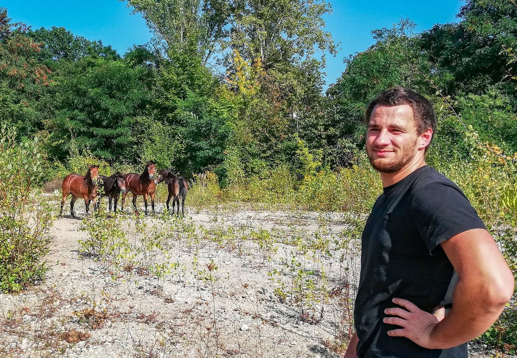Simon Rockstroh ist Ranger der Naturforschenden Gesellschaft und beobachtet in Mumsdorf die neuen Exmoor-Ponys.