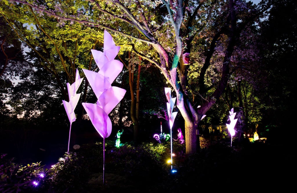 Noch bis zum 12.09.2021 können Besucher im Rahmen der Veranstaltung „Illumination - Lichtzauber im Park“ eine Welt voller Licht und Schatten erleben.