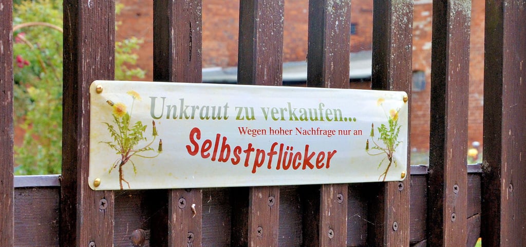 Dieses Schild hängt an einem Gartenzaun in der Dorfstraße in Ranies und lädt auf humorvolle Art und Weise ein, Unkraut, wegen hoher Nachfrage selber zu pflücken. Die Aufforderung ist aber natürlich nicht ganz ernst gemeint.