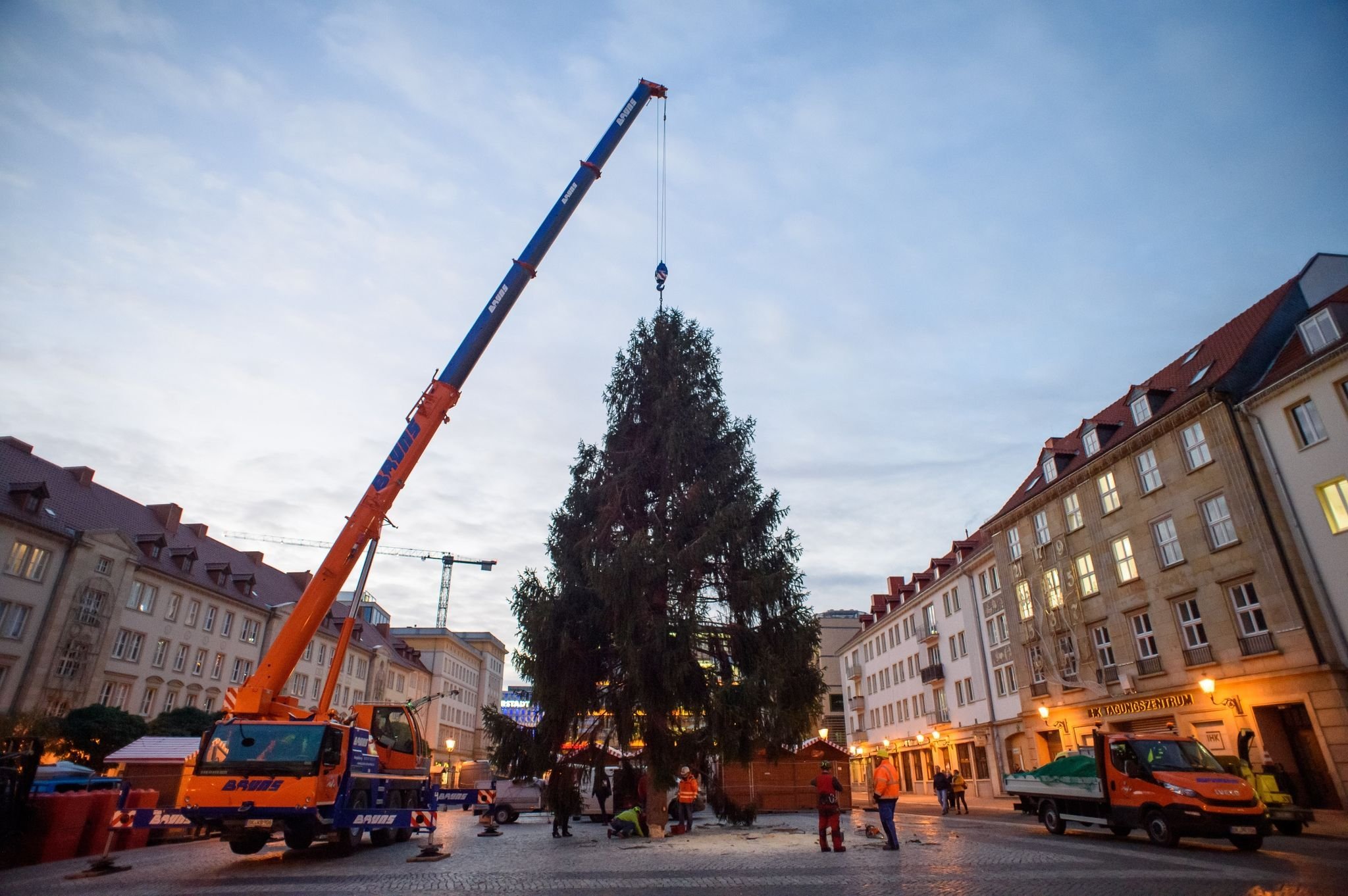 Der Weihnachtsbaum des Magdeburger Weihnachtsmarktes wird 2020 auf dem alten Markt aufgestellt.