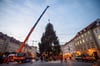 Der Weihnachtsbaum des Magdeburger Weihnachtsmarktes wird 2020 auf dem alten Markt aufgestellt.