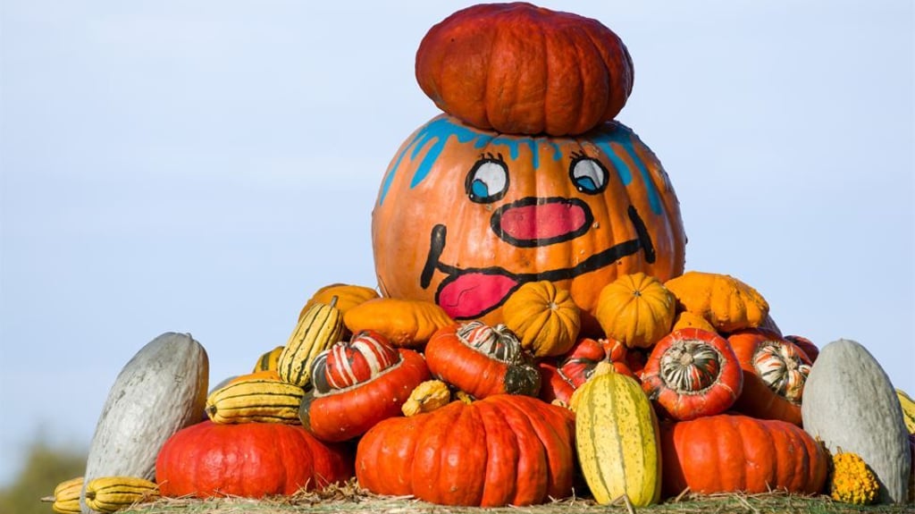 Die große Schau für die Landwirtschaft in Sachsen-Anhalt lockt am Wochenende (18. und 19. September) auf vergrößerter Ausstellungsfläche in den Elbauenpark in Magdeburg.