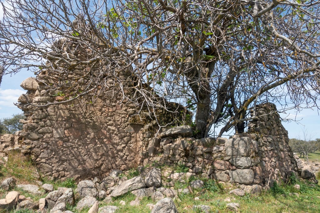 Im Naturpark Sierra de Cardeña y Montoro können Wanderer zum Beispiel das teils in Ruinen liegende Dorf El Cerezo erkunden.