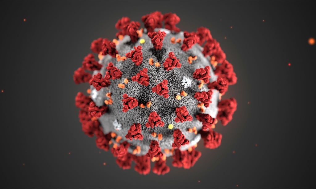 Je „schöner“ eine bildliche Darstellung des Coronavirus ausfällt, als desto weniger ansteckend wird das Virus empfunden.