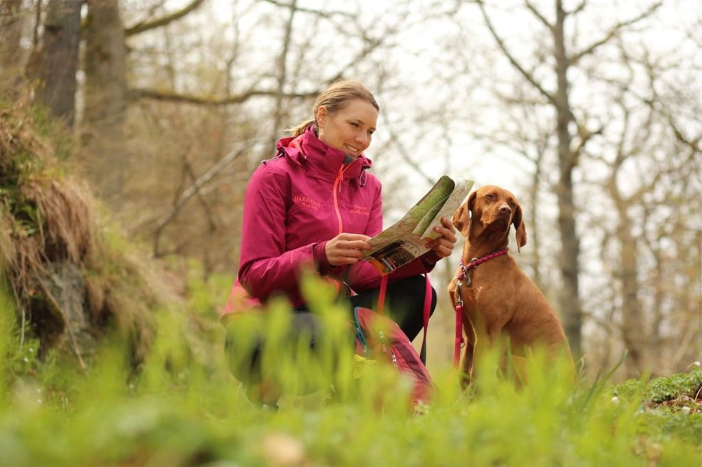Wanderregionen wie der Harz werden immer beliebter, auch für Touristen mit Hund. Viele Wanderrouten führen an einem Gewässer entlang, so dass sich der Hund erfrischen kann. Die Harzer Wandernadel hat im vorigen Jahr mehr als 90.000 Stempelhefte verkauft.