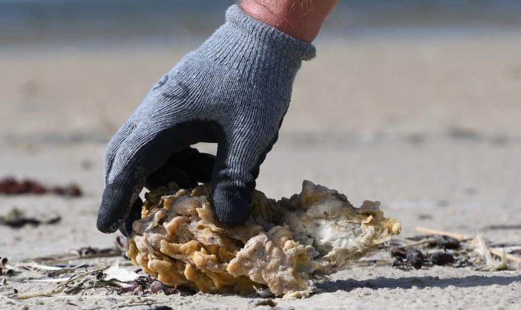 Giftiges industrielles Paraffin liegt am Strand und wird aufgesammelt.