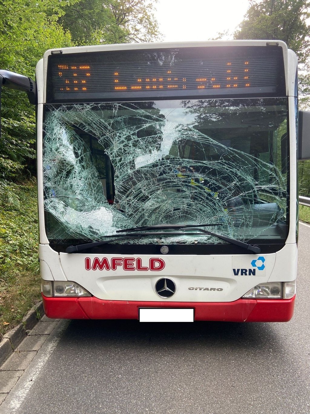 Die Frontscheibe eines Lininebusses ist nach einem Wildunfall zerstört.