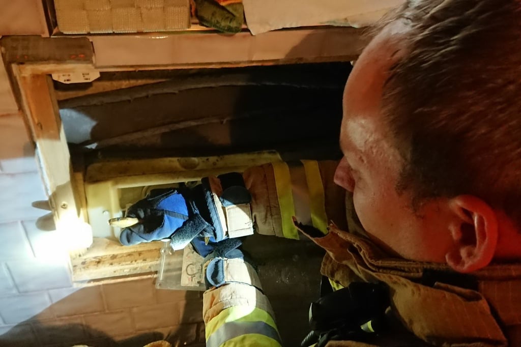 Ein Feuerwehrmann befreit eine ungiftige Äskulapnatter aus einem WC-Spülkasten.