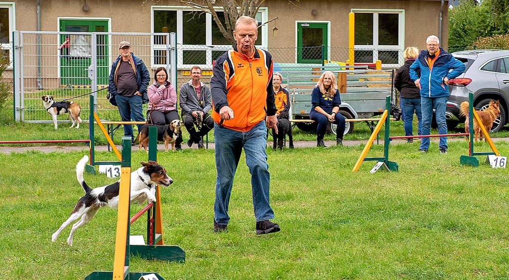 Der Hundesportverein Salzwedel begeisterte mit seiner Agility-Vorführung die Besucher des Wiesenfestes in Siebeneichen.