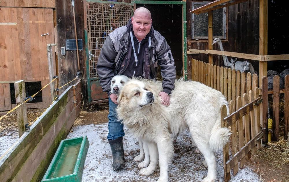 Schutzhund und Familienhund: Mario Lindenborn beweist im Herdenschutzhundezentrum Reetzerhütten, dass beides geht.
