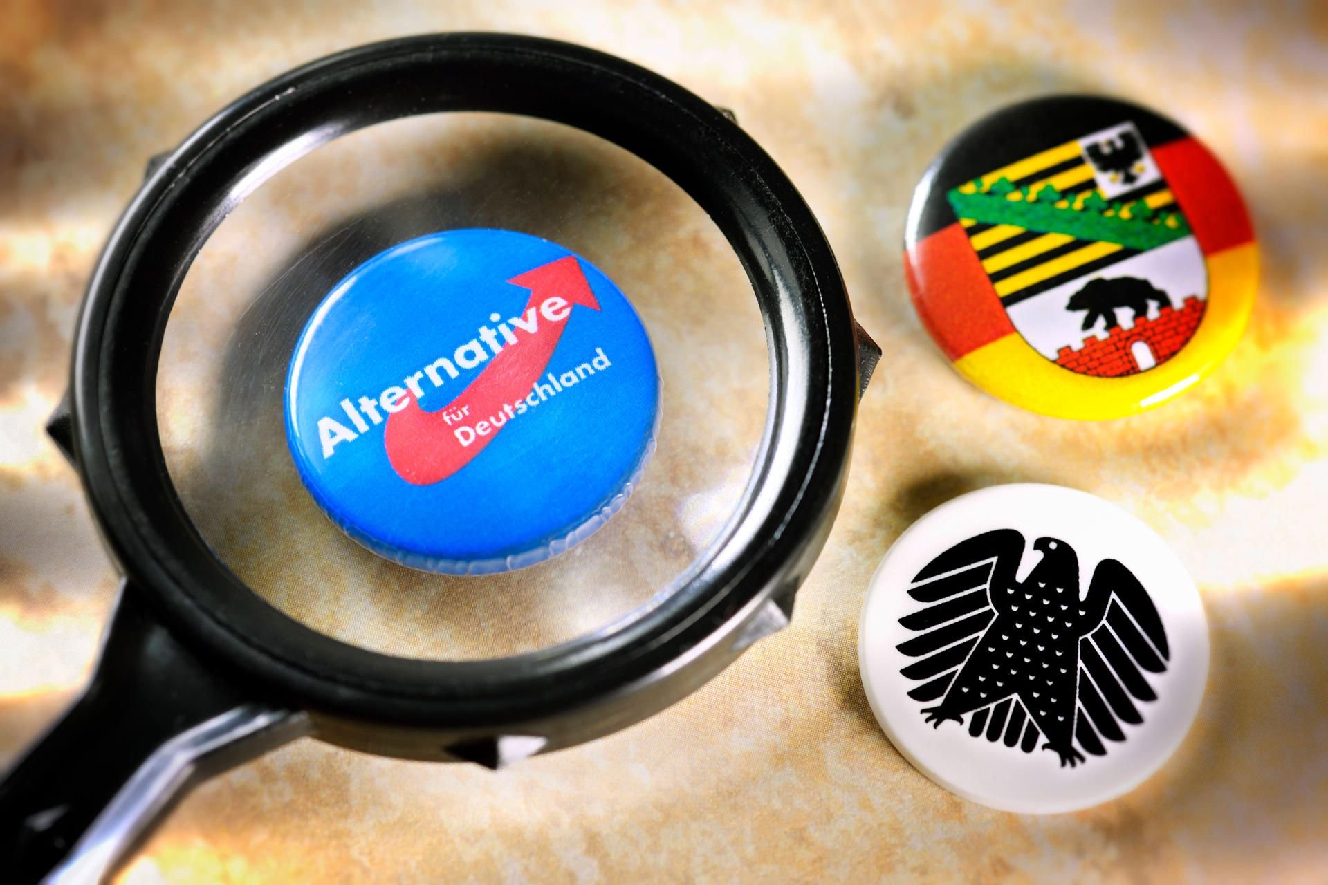 Der AfD-Landesverband Sachsen-Anhalt wurde unter Beobachtung des Verfassungsschutzes gestellt.